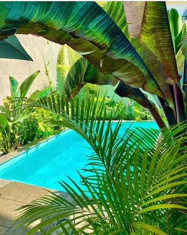Liberdade Art, Garden & Private Pool