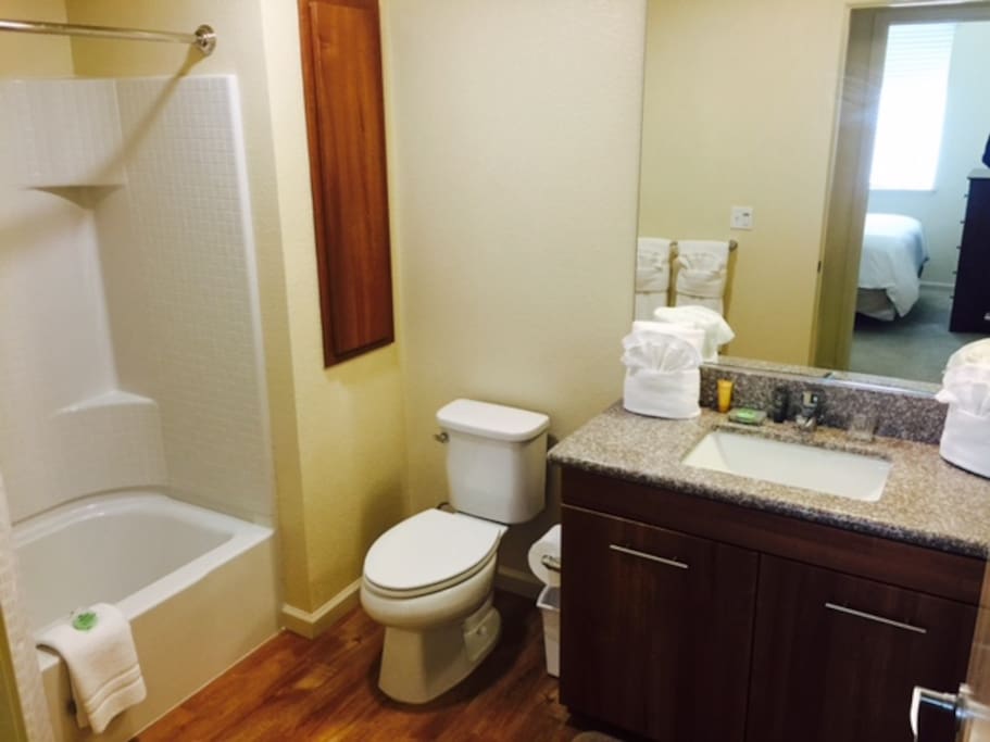 Luxurious bathrooms