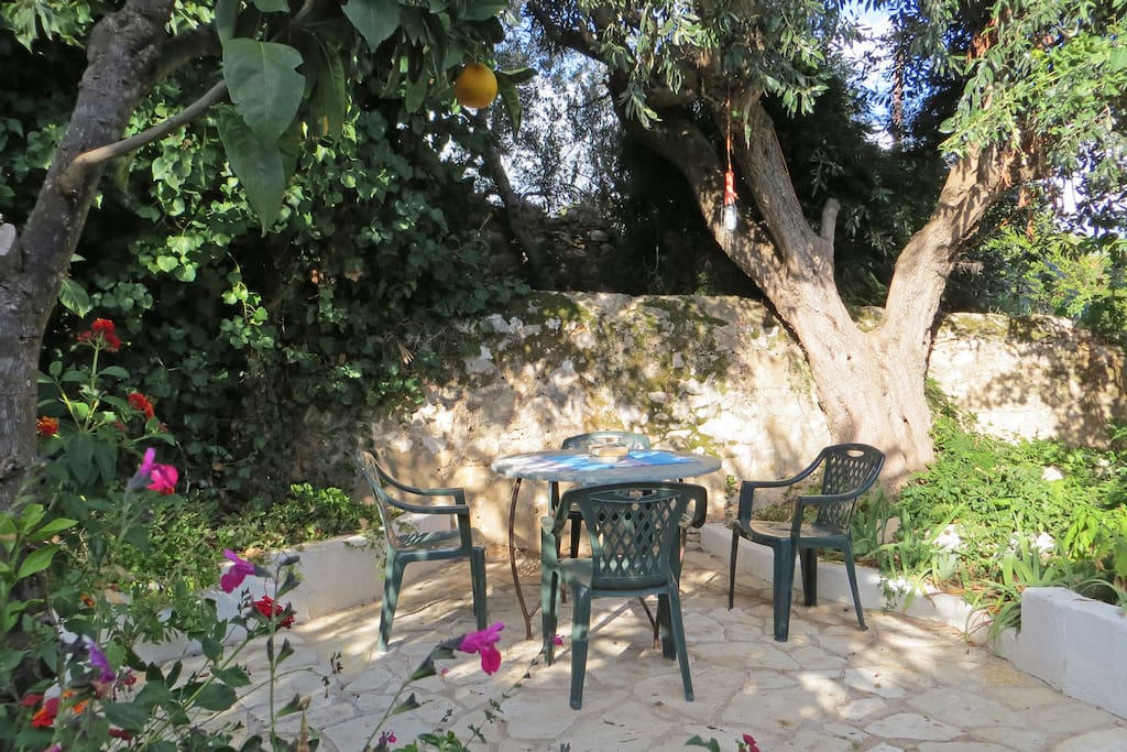Villa Phobe shady garden