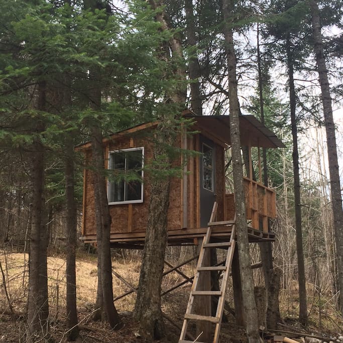 Cabane dans les arbres.