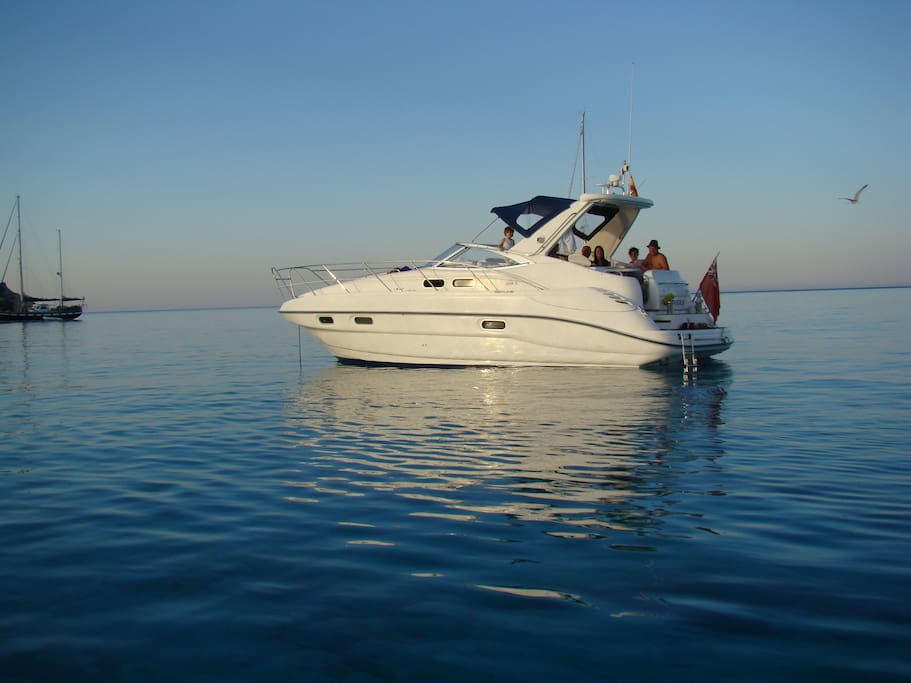 Luxury Motor Yacht Entertaining