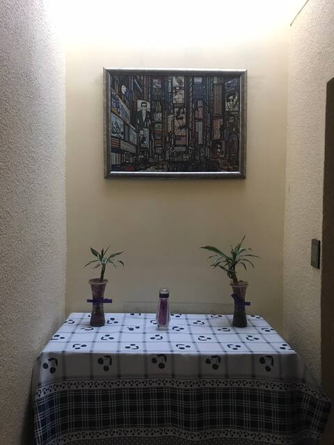 Porfirian apartment with TV, Netflix near airport