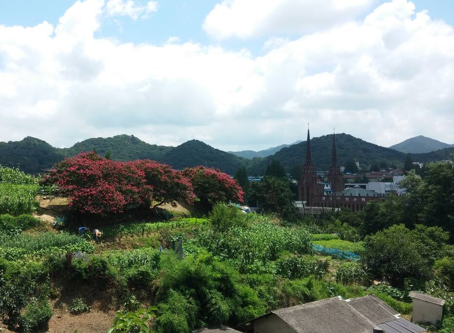 여름
