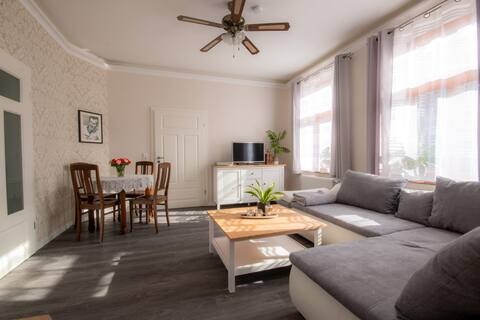 Luxurious large accessible apartment