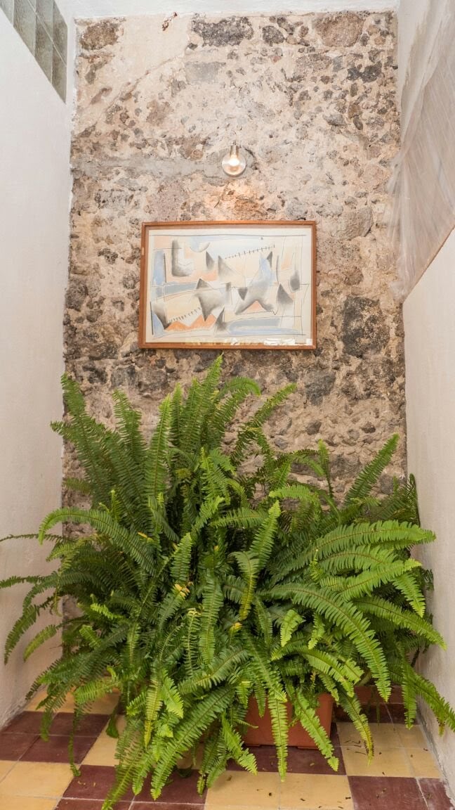 A stone wall serves as a backdrop for a framed artwork, featuring abstract geometric shapes. In the foreground, a lush fern plant adds greenery to the space, complemented by a tiled floor that brings warmth and texture to the corridor.