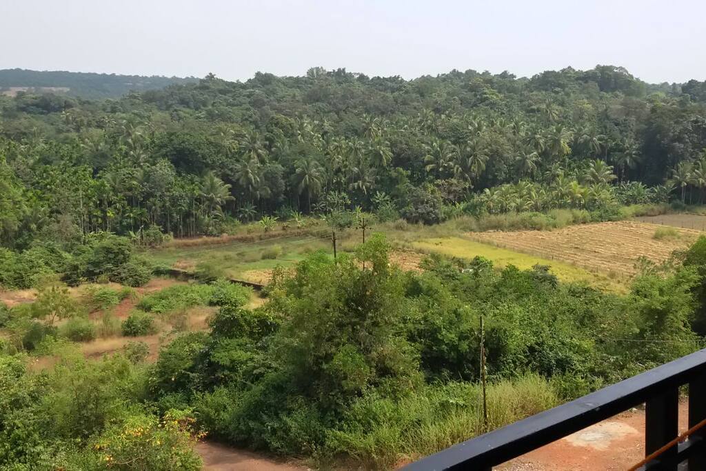 Rear balcony view