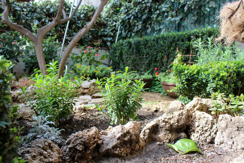 Garden