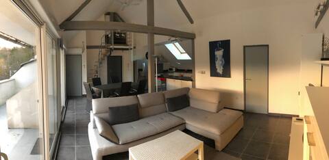 Air-conditioned loft, ideal professional stay, very quiet
