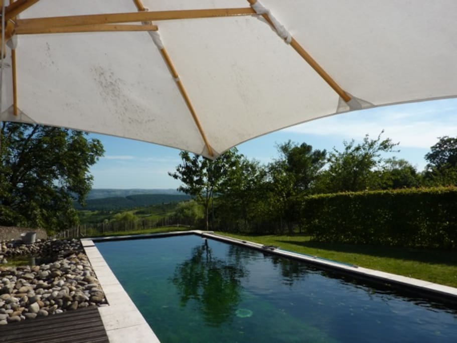 huge private natural pool