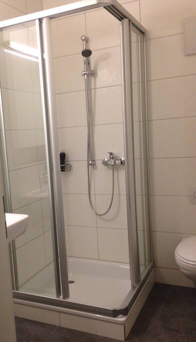 Private guest bathroom with shower.