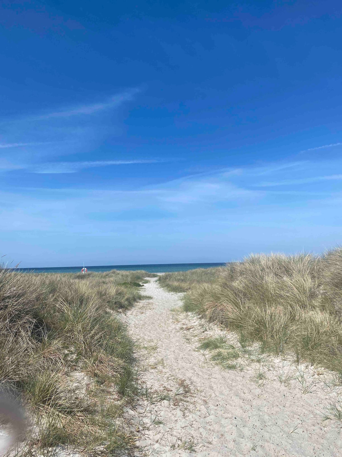 A sandy path winds through tall grass, leading towards the ocean. The blue sky stretches overhead, dotted with soft clouds. The sea is visible in the distance, adding a sense of tranquility to the natural landscape.