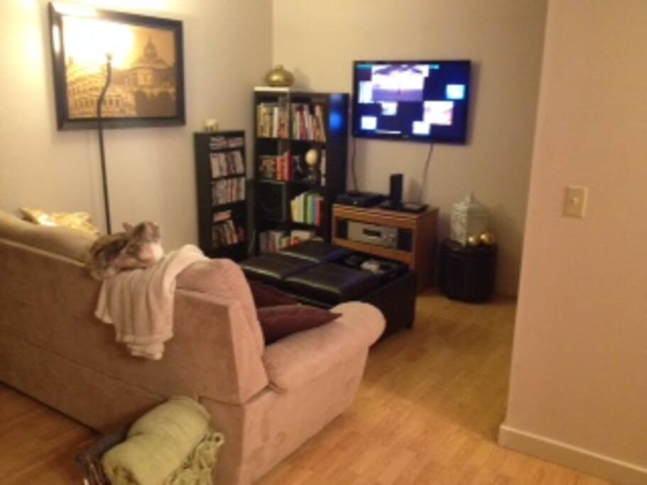 Living Room with apple TV