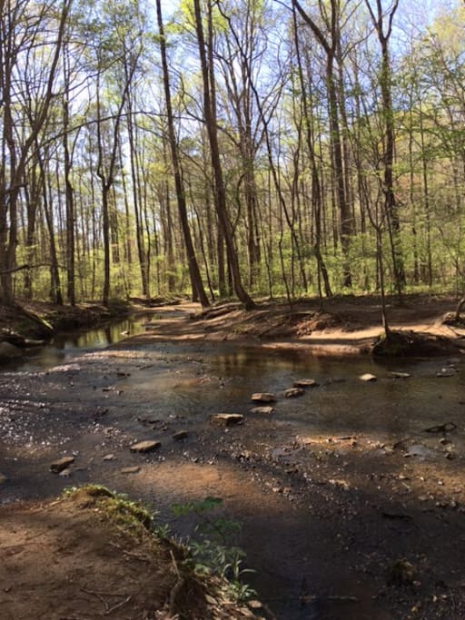 Nearby trails