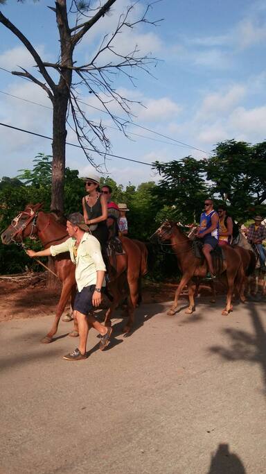 Paseo a caballo con guias de la casa por el Parque nacional