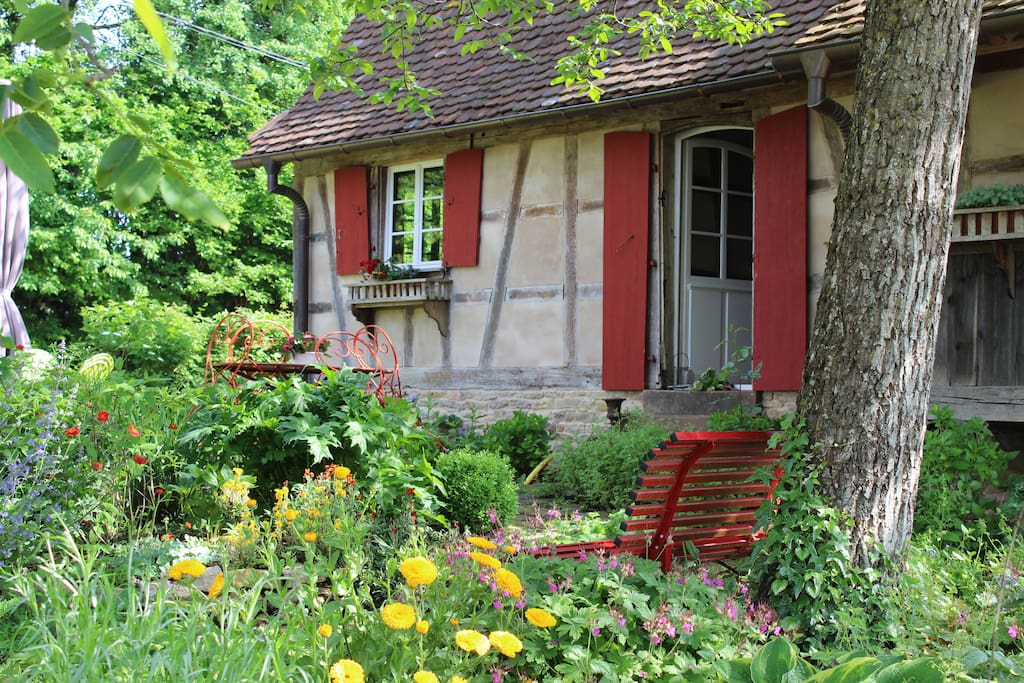 Rouge Eglantine et son jardin/terrasse privatif verdoyant