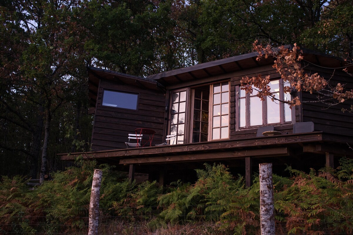 A wooden cabin is nestled among lush greenery, featuring large windows that provide ample natural light. A small outdoor deck is visible, with a couple of chairs positioned to enjoy the surrounding landscape.