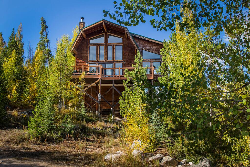 We call it the treehouse!
