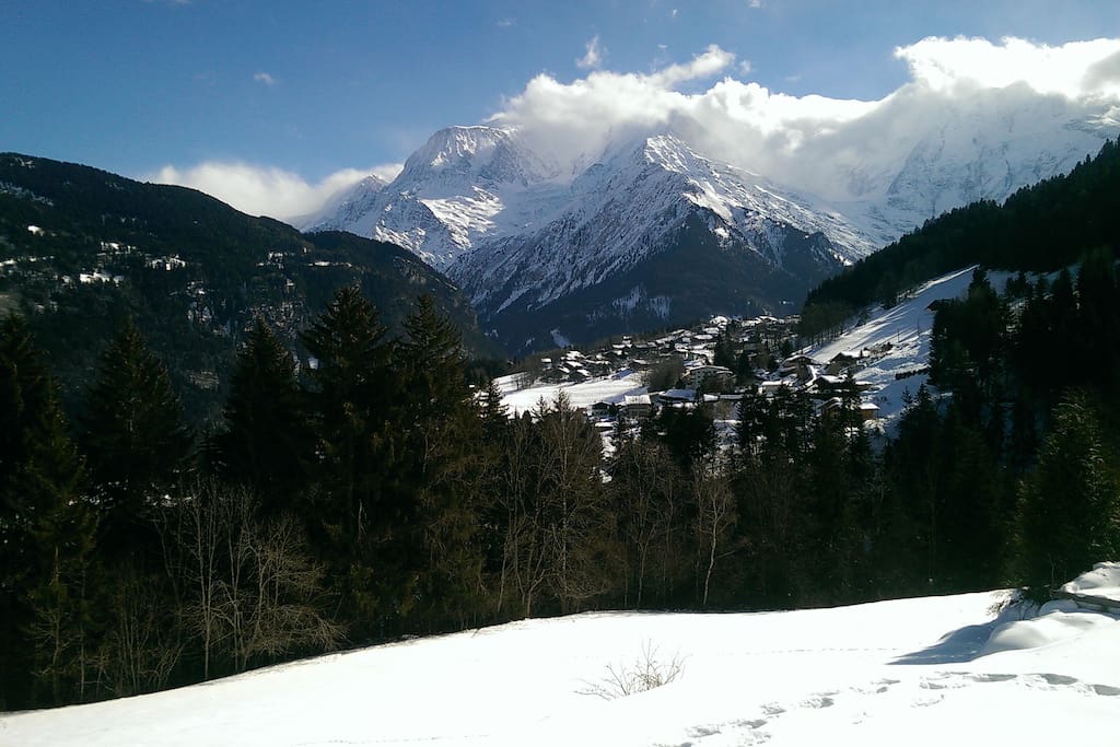 Vue sur le Mont Blanc