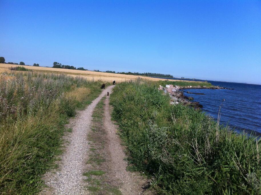 Trave og cykelsti