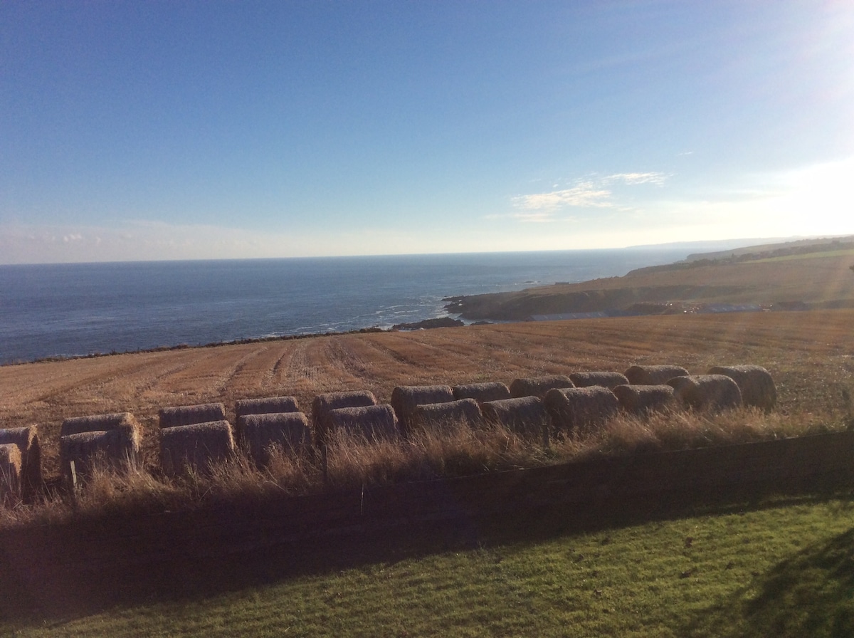 Rolling fields extend towards the coastline, showcasing harvested hay bales arranged neatly across the landscape. The sea glistens in the distance under a clear blue sky, while the gentle curvature of the land meets the water's edge, providing an uninterrupted view.
