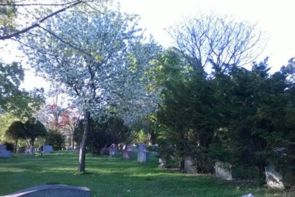(1 min by walk, open green space)