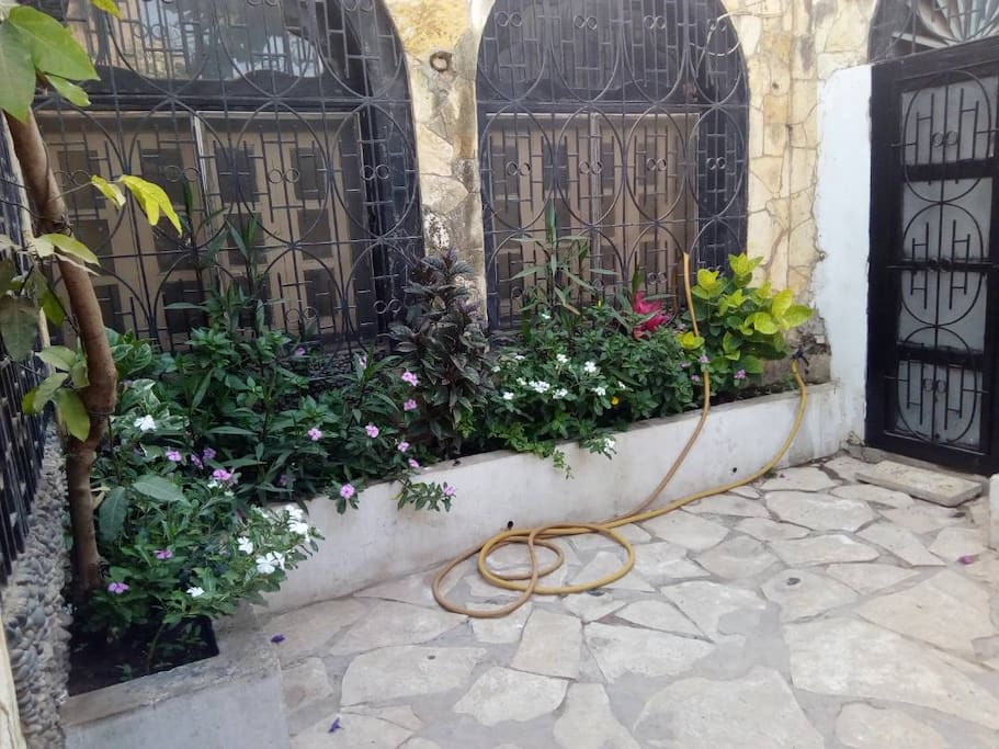 Aperçu appartement