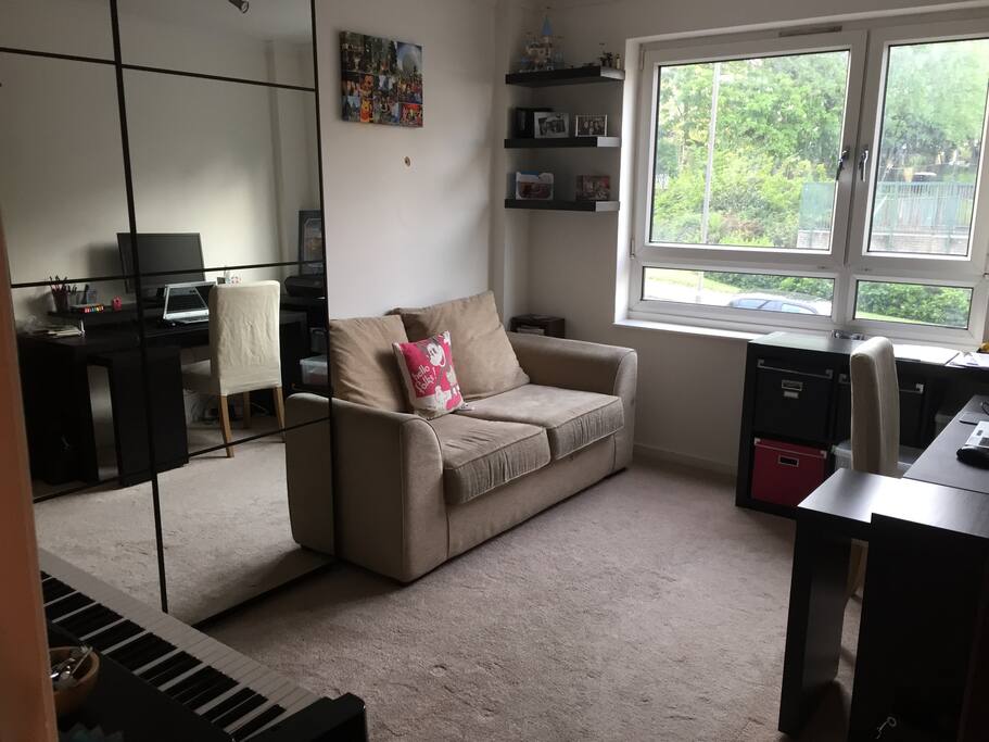 Your room, with double sofa bed.