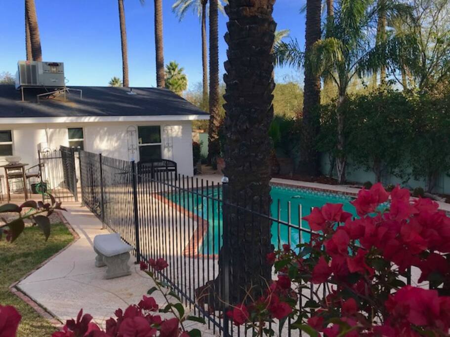 Pool/Patio/Backyard