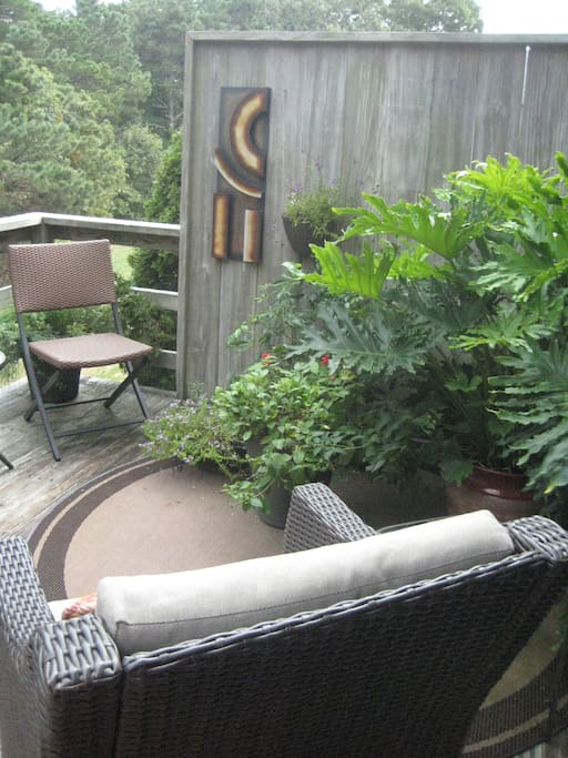 Furnished deck with a container garden adds an additional living space.