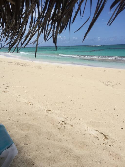 Chilling in the palapa at Cayo Loco!
