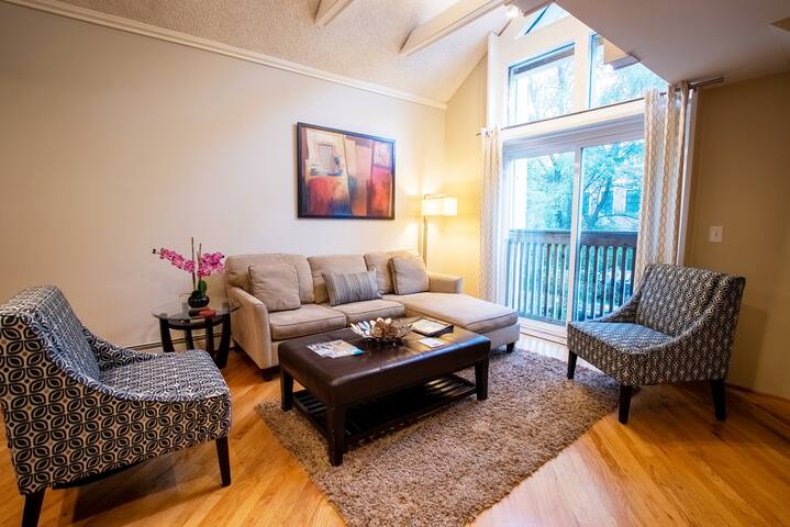 Lincoln Park 4BD/2BA Fireplace (2)