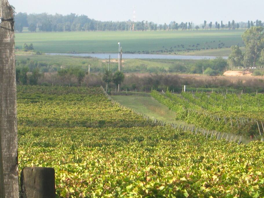 vista desde la casa