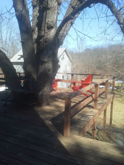 Back deck for cook- outs and deer watching
