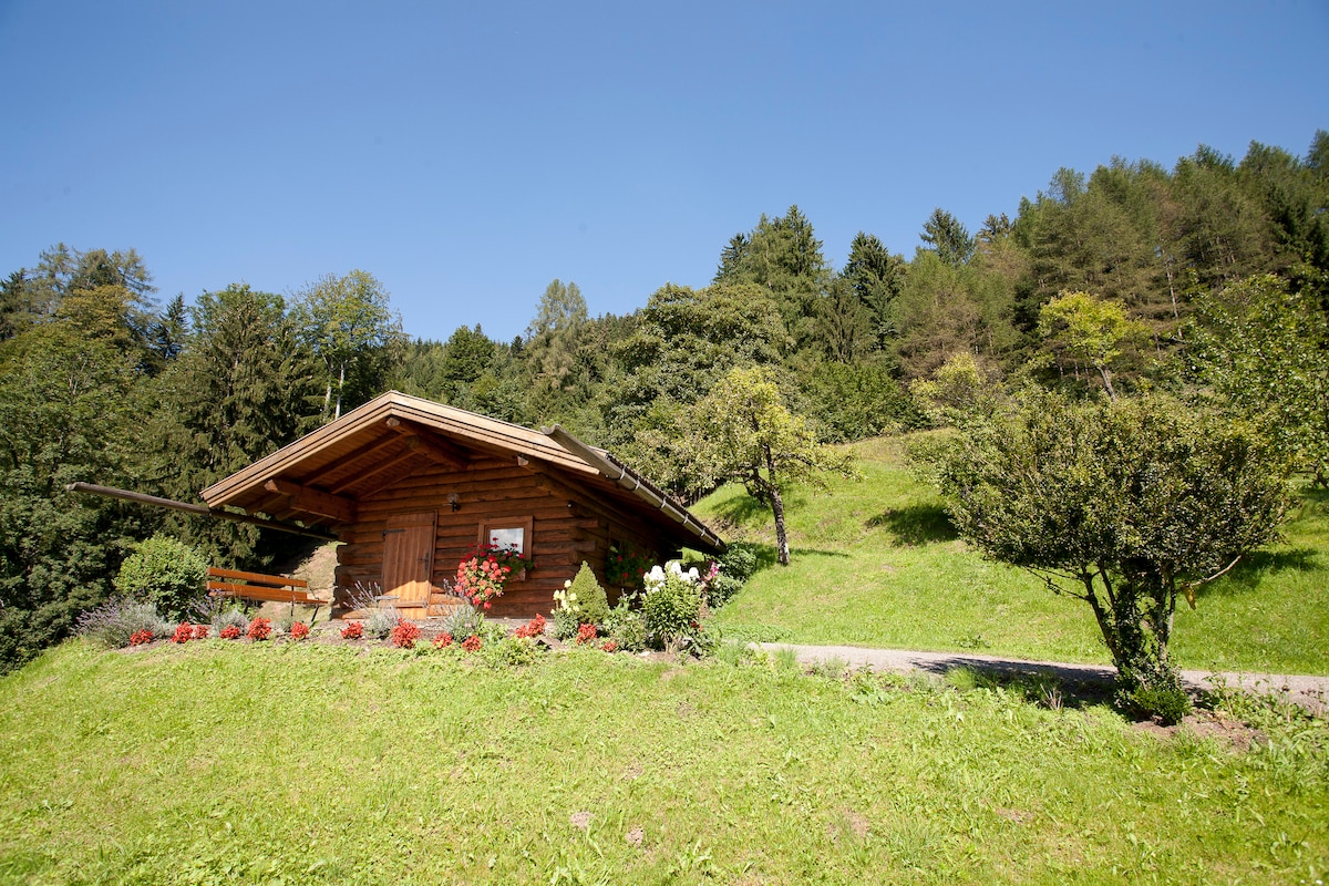 The wooden cabin is set on a gently sloping green lawn, surrounded by lush trees and colorful flowerbeds. The roof overhangs slightly, providing shade. A gravel path leads up to the entrance, which features wooden doors framed by vibrant flowers.