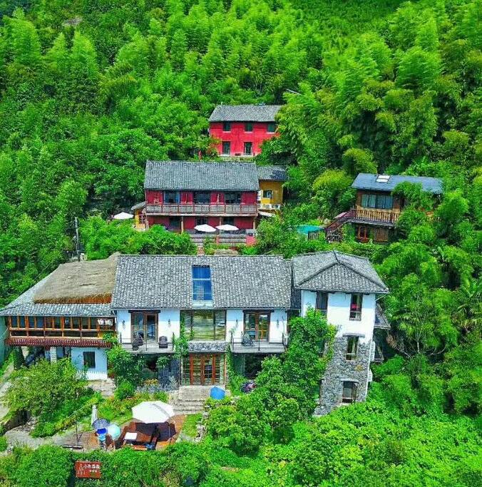 鸟橄全景