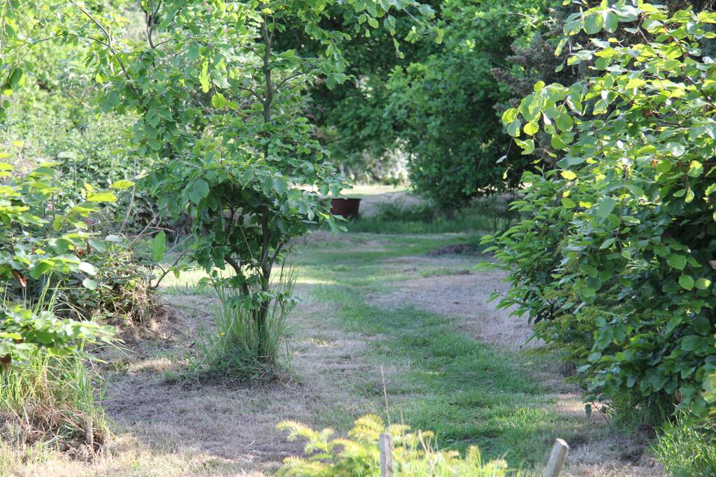 ".... secluded in woodlands and fields with a barn owl for entertainment."