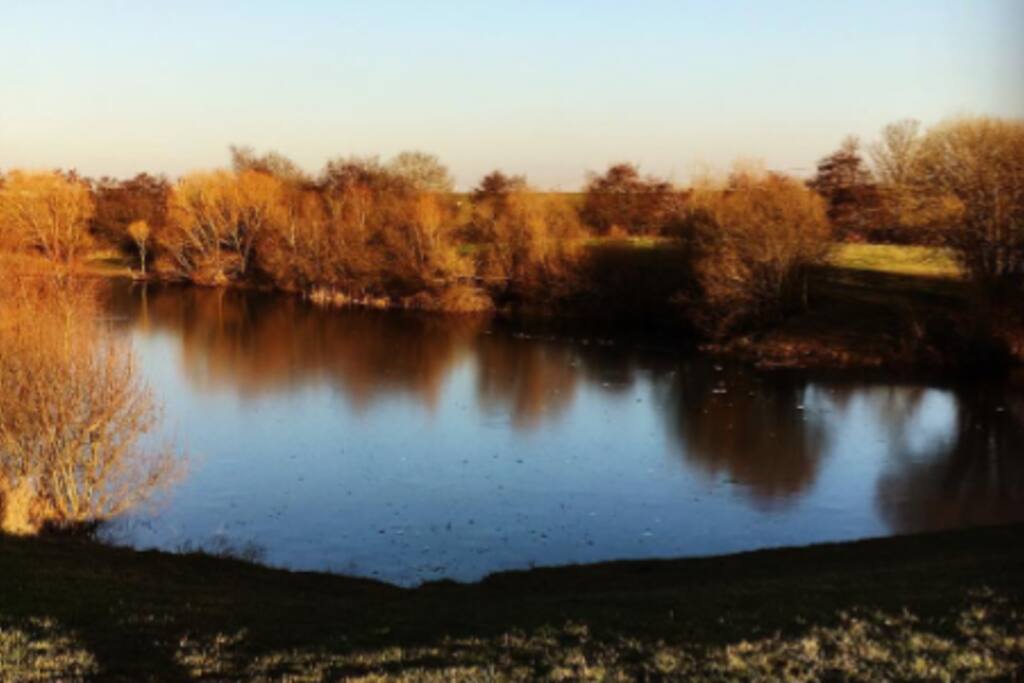 Molesey Heath