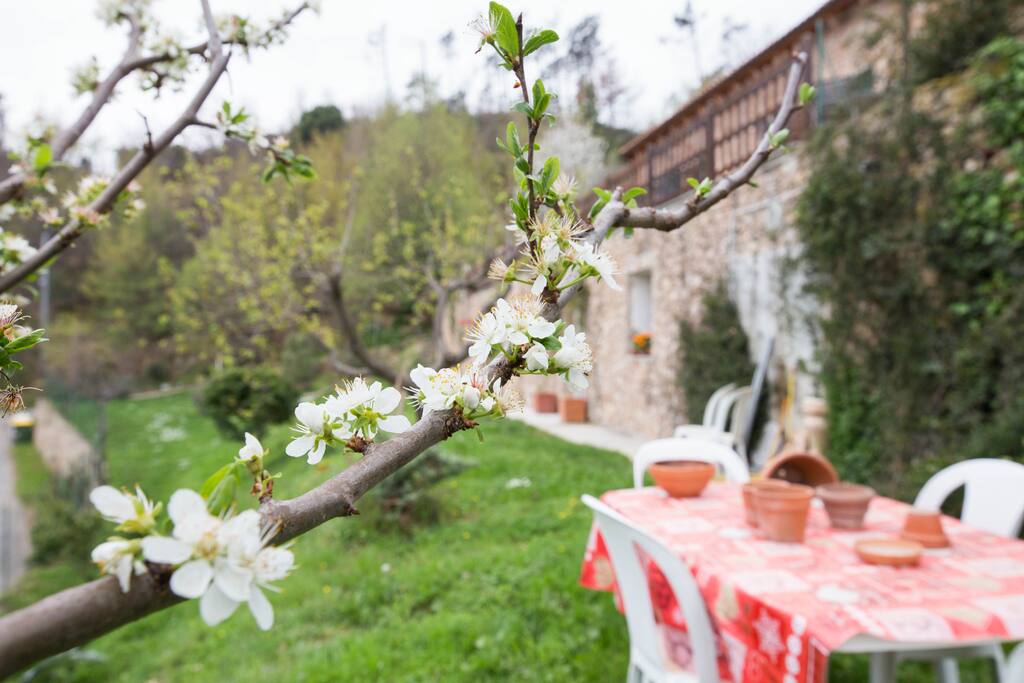 giardino attrezzato