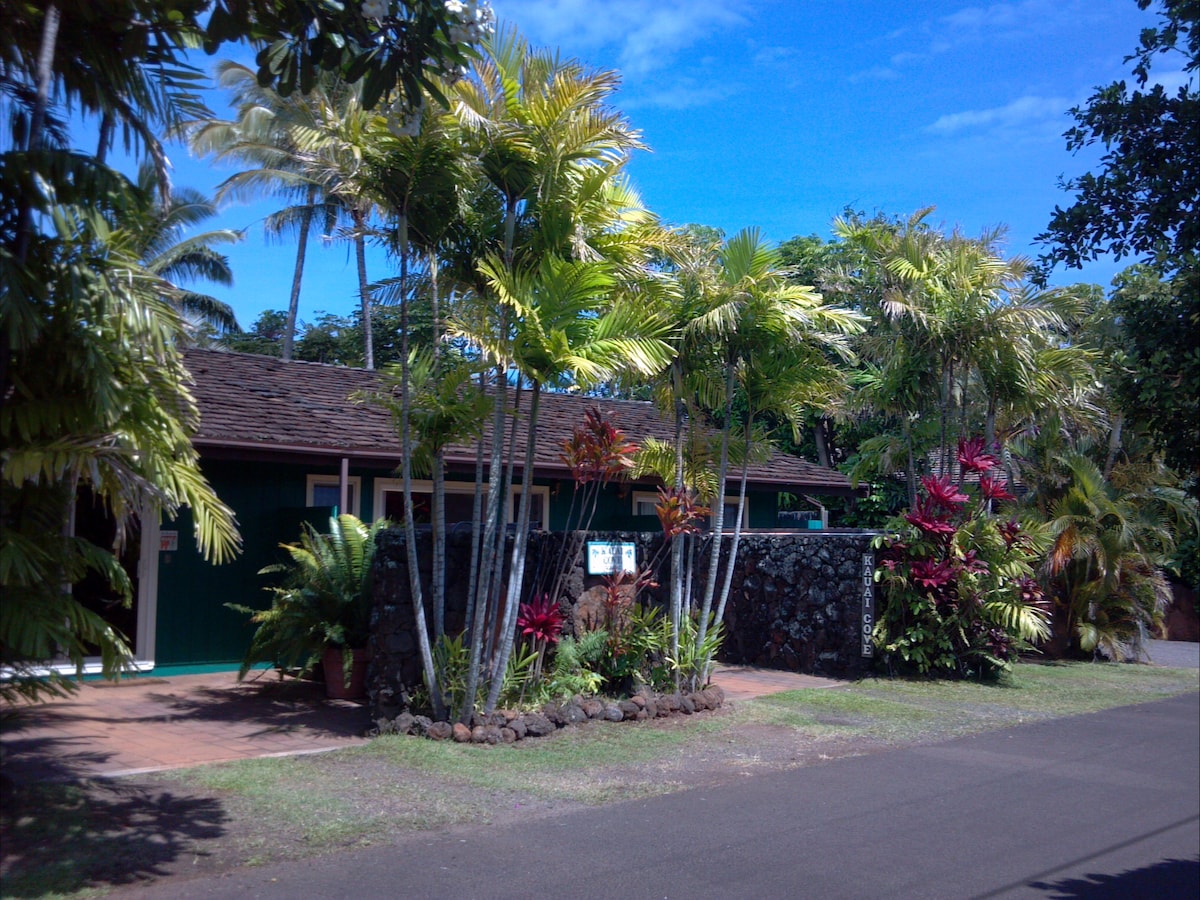 A lush tropical landscape surrounds the charming one-story studio, featuring vibrant palm trees and colorful foliage. A stone wall frames the entrance, complemented by a well-maintained grassy area. The clear blue sky provides a serene backdrop to this inviting exterior.