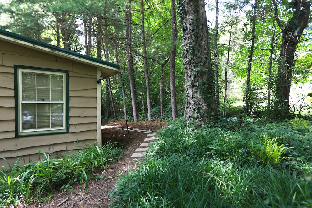 The path to our Peaceful Suite in the Trees located at the back of our house. It has a separate entrance.