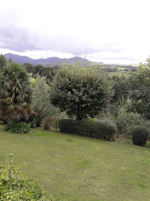 Jardin