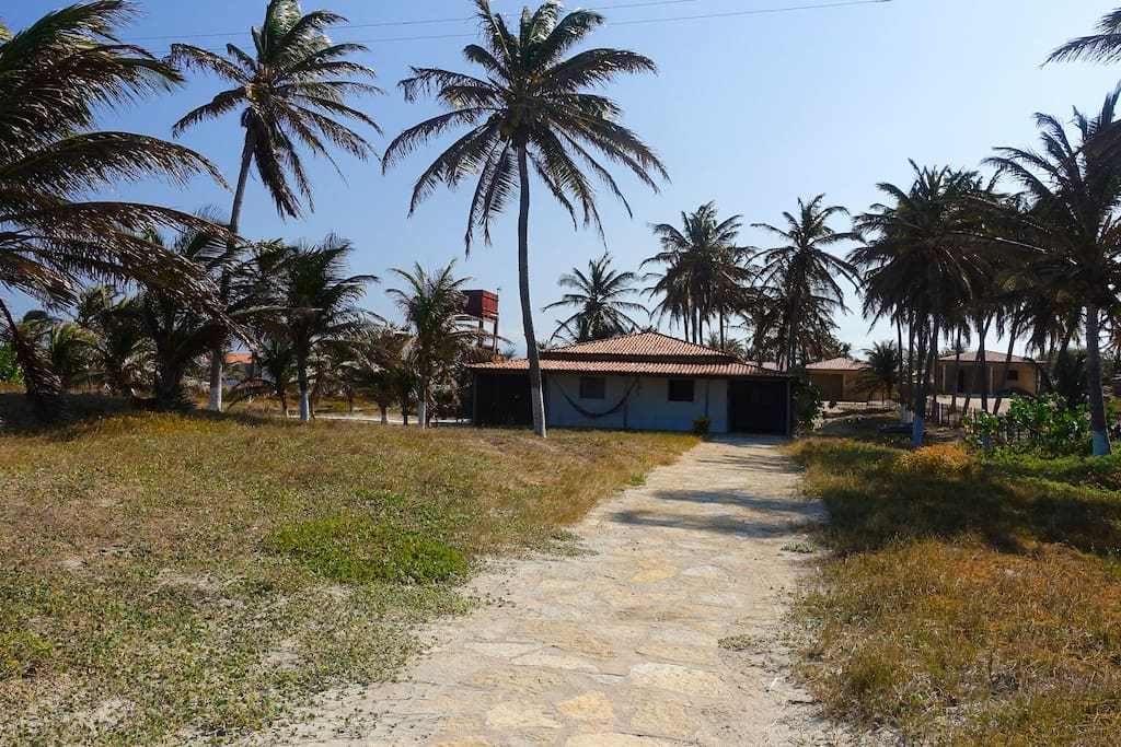 View from the beach