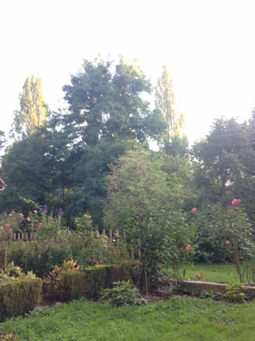 Blick vom Sitzplatz in den Garten
