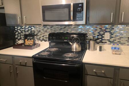 Beautiful Modern Apartment near Stadiums