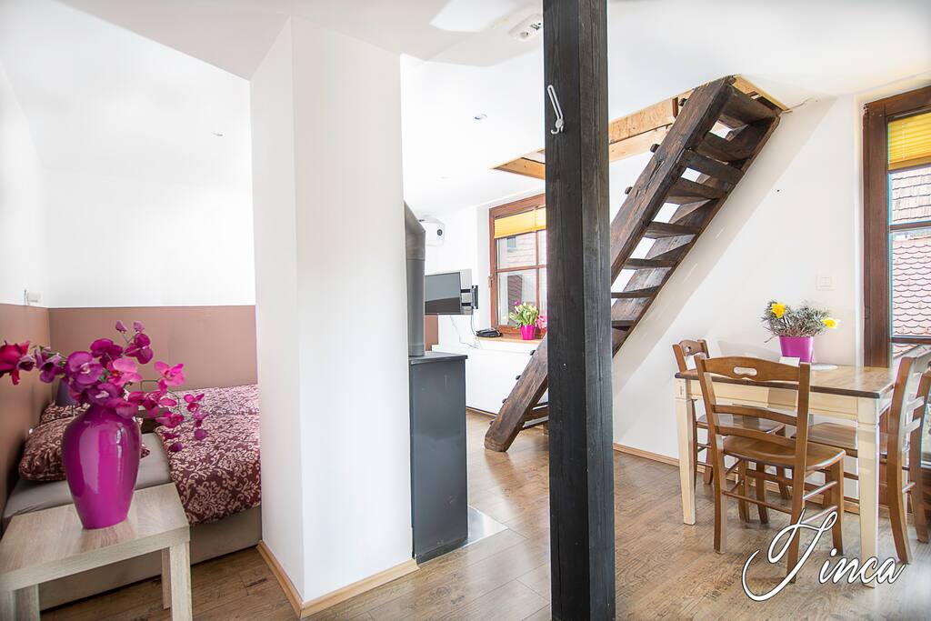 Main space of the appartment Tinca