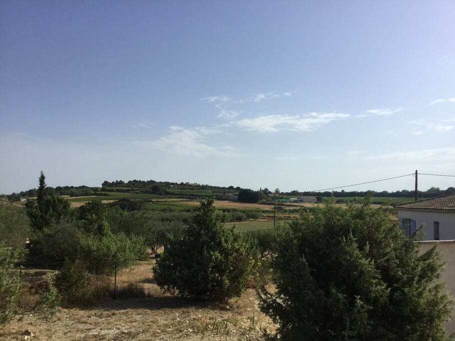 La campagne autour du studio