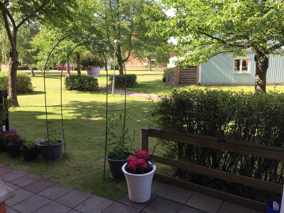 Utsikt mot bakgården från altanen