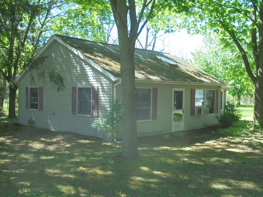outside view from the road. note it is partially hidden by pines
