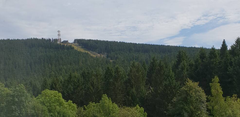 Gästehaus - Suit, Familienzimmer 2-4 Pers.