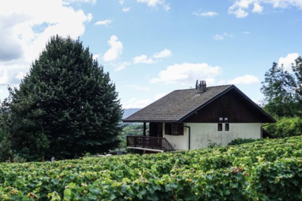 Le chalet vu des vignes